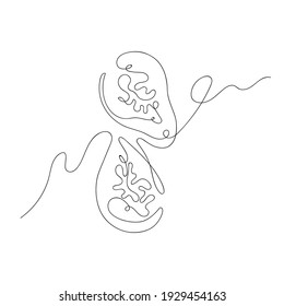 Two halves of figs are created in the style of line art. An illustration from a continuous black line isolated on a white background. It is used in the design of postcards, notebooks, clothing.