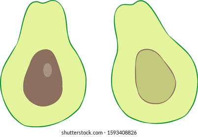 Two halves of fresh avocado on a white background. Avocado with a bone.