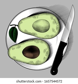 Dos mitades de aguacate fresco en un plato. Grabado de época estilizado como dibujo. Ilustración del vector