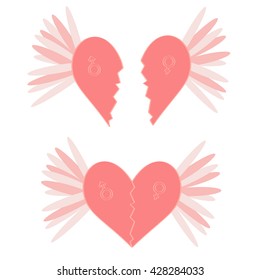 Two halves the heart and wings white background  Symbols men   women vector