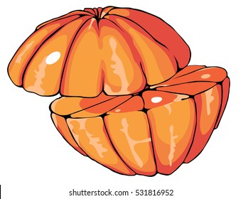 two halves of juicy Mandarin