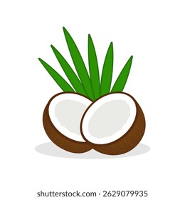 Deux moitiés d'une noix de coco fendue avec des feuilles isolées sur fond blanc. Illustration vectorielle de design estival.