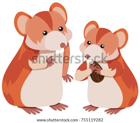 Image, Stock Photo White hamster eating