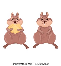 Two hamsters are standing. Holds paws cookies, snacks or animal feed. Domestic rodent. Cute animal vector illustration