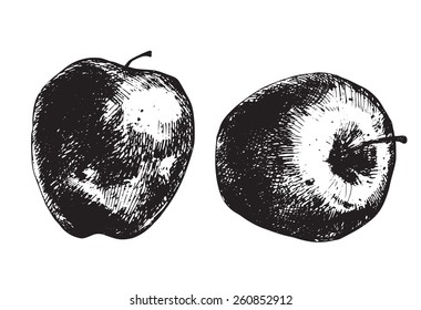 Two hand - drawn apples on white background.