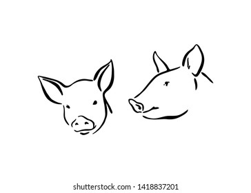 Two hand drawn cute pig sketch illustration. Vector black ink drawing farm animal, outline silhouette isolated on white background. 