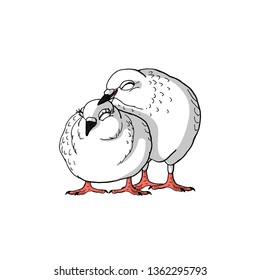 two hand drawn cute white pigeons, sweet loving couple of pigeons, symbol of bride and groom. isolated on white background. stock vector illustration