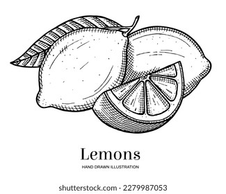 Two hand drawn lemons and lemon slice isolated on white background. Vegetarian, organic food. Vector Illustration. 