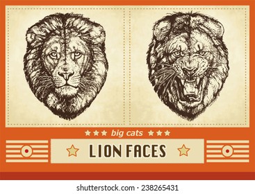 Two hand drawn male lion heads calm and roaring faces grunge vector illustration with typographic elements and an orange decorative designed frame