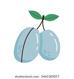 Two hand drawn plums with leaf. Flat vector illustration isolated on white background.