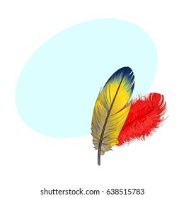 Two hand drawn smoth orange and yellow tropical, exotic bird, parrot feathers, sketch style vector illustration with space for tex. Realistic hand drawing of yellow and orange parrot, bird feathers
