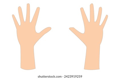 Two Hand icon vector isolated on white background. Vector illustration. Eps file 207.