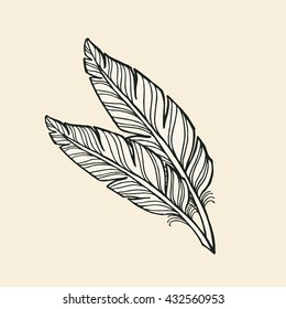 Two hand-drawn Feathers on White Background. Vector illustration Eps-8