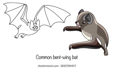 Two hand-drawn, grayish-brown bats. They have small, rounded ears, dark eyes, and short snouts. A vector illustration suitable for various uses. Common bent-wing bat.