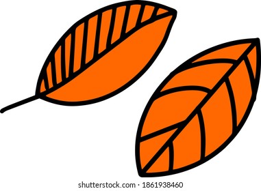 Two hand-drawn leaves in Doodle style, vector illustration for postcards, books, stickers