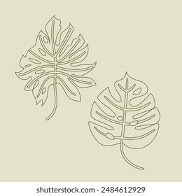 Two hand-drawn leaves vector drawing