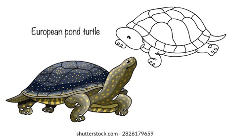 Two hand-drawn pond turtles. They have rounded, dark-colored shells with small yellow speckles. Their heads and legs are covered with light yellow markings, and their tails are long and pointed.