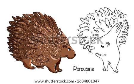 Two hand-drawn porcupines in different poses. A large rodent with a body covered in long white quills that deter predators. Isolated vector on a white background. 