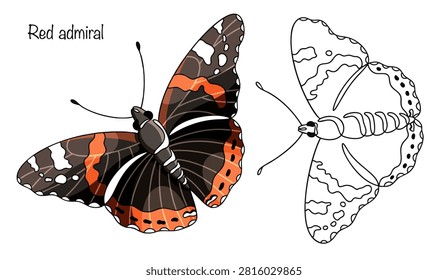Two hand-drawn Red Admiral butterflies. A vibrant butterfly with black wings crossed by a broad orange-red band; the forewings feature white spots, while the hindwings have black ones.