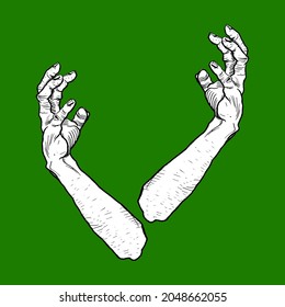 two hands detail illustration vector