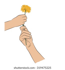 Two hands with flower on transparent background. Greeting card, invitations.