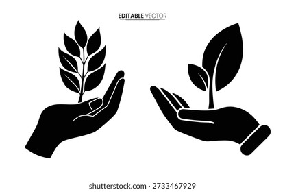Dos manos acunando suavemente los brotes de la planta que simbolizan el cuidado del crecimiento y la sostenibilidad ambiental profesional de alta calidad