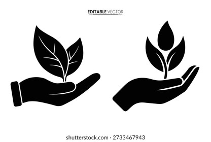 Dos manos acunando suavemente hojas que brotan simbolizando el crecimiento del cuidado y la responsabilidad ambiental profesional de alta calidad