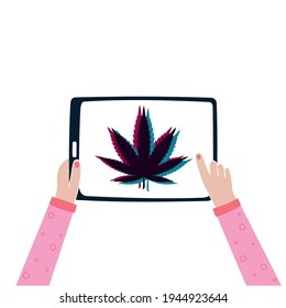 Two hands of a girl, electronic tablet, marijuana, top view. The concept of legalization, online purchase of cannabis. Vector illustration isolated on white background. 