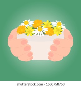 Two hands hold a jar of cosmetic product. Medicinal flowers demonstrate that it is herbal, natural, organic. Isolated on green gradient background.Vector illustration for presentation, advertisement.
