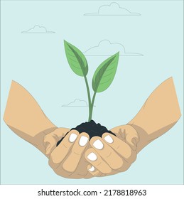 two hands holding and caring a young green plant, planting tree, growing a tree, love nature, save the world. World Environment Day concept. A young new plant growing from palm in two hands, isolated