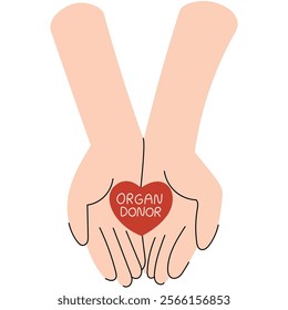 Two hands holding a heart with the inscription Organ Donor, symbolizing care and life-saving generosity.National Organ Donor day.