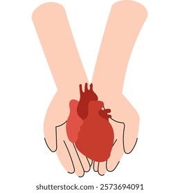 Two hands holding a human heart, symbolizing care and life-saving generosity. National Organ Donor day.