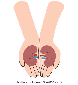 Two hands holding a human kidney, symbolizing care and life-saving generosity. National Organ Donor day.