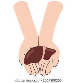 Two hands holding a human liver, symbolizing care and life-saving generosity. National Organ Donor day.