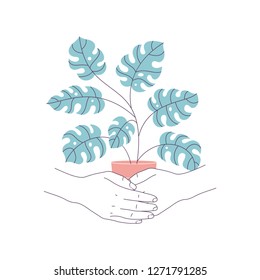 Two hands holding a plant. Nature concept. Plant pot monstera. Vecot illustration