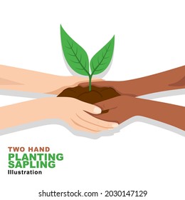 Two Hands Holding Planting Sapling