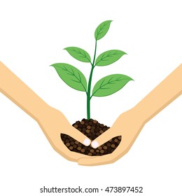 Two Hands holding young plant on the white background.