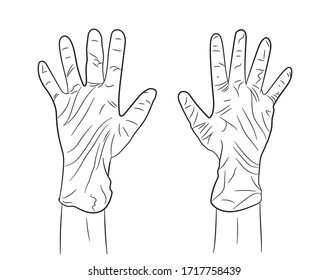 Two hands in medical gloves. Hand protection against bacteria. . Coronavirus. Vector illustration