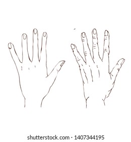 two hands, old and young. line graphics