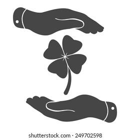 two hands protecting clover with four leaves sign icon on a white background. Saint Patrick symbol