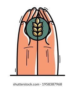 Two hands with ripe spike protecting and showing care vector flat style illustration isolated on white, cherish and defense for food and harvest concept, against famine.