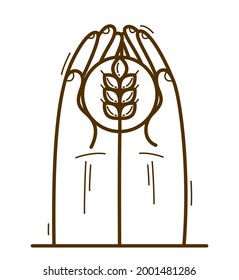 Two hands with ripe spike protecting and showing care vector flat style illustration isolated on white, cherish and defense for food and harvest concept, against famine.