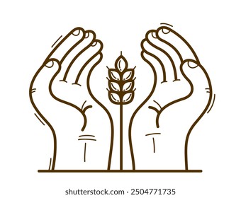 Two hands with ripe spike protecting and showing care vector flat style illustration isolated on white, cherish and defense for food and harvest concept, against famine.