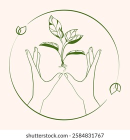 Two hands with a young plant with roots and leaves, symbolizing growth, nature, and sustainability Minimal line logo, emblem, icon for eco friendly , environmental, organic product branding. Vector 