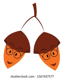Two hanging acorns vector or color illustration