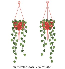 Two hanging potted plants with heartshaped leaves