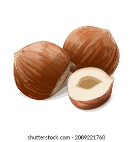 Dos avellanas y la mitad aisladas de fondo blanco. Alimentos veganos brutos sanos. Ilustración vectorial.