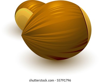Two hazelnuts over white