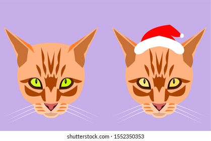 Two head and face of the orange color tabby cat wearing a Santa Claus hat on purple background, Cartoon and graphic about Christmas pets and New Year's celebration