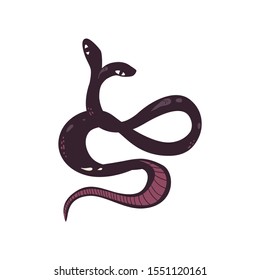 Two headed dark purple snake isolated on white background - hand drawn exotic serpent reptile with two heads seen from top view - vector illustration